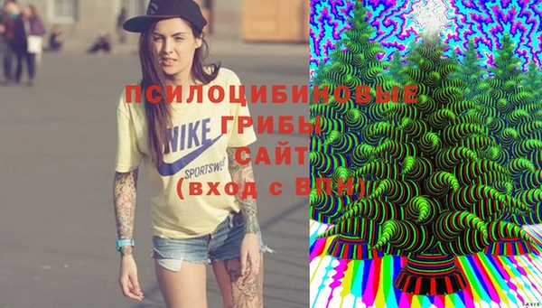 бошки Арсеньев