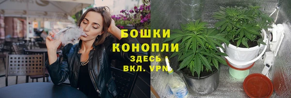 бошки Арсеньев
