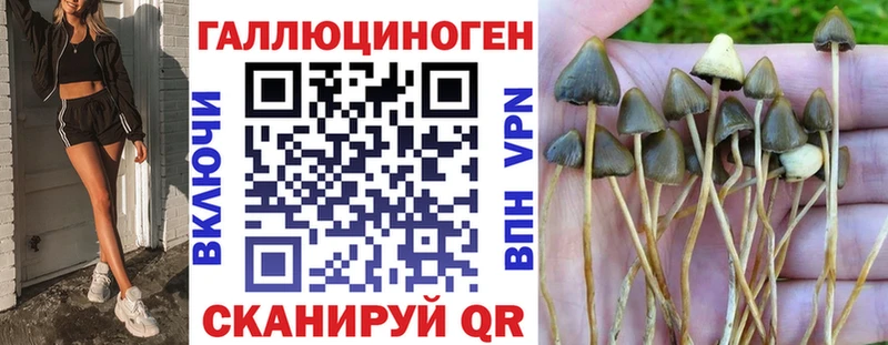 Галлюциногенные грибы Psilocybine cubensis хочу Бакал